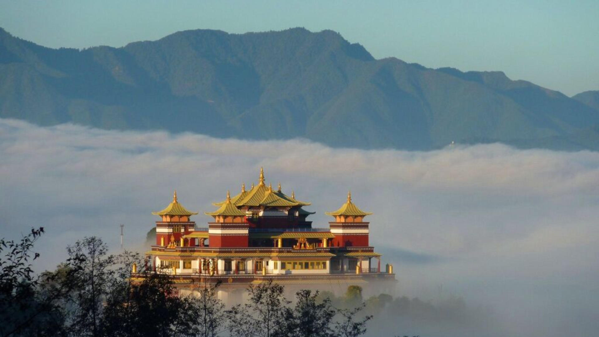 Fond d'écran carousel